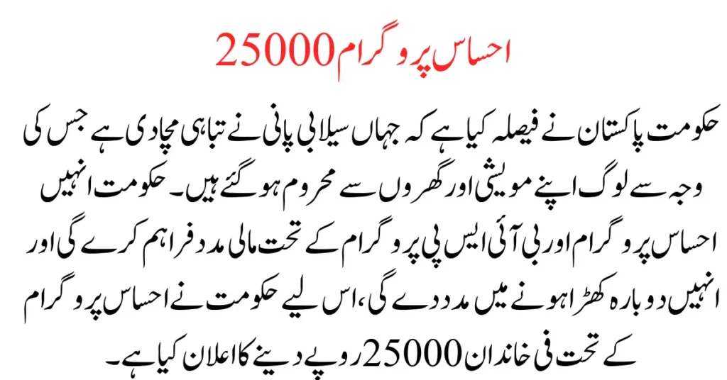 Ehsaas Program CNIC Check 25000 Online Registration 2023