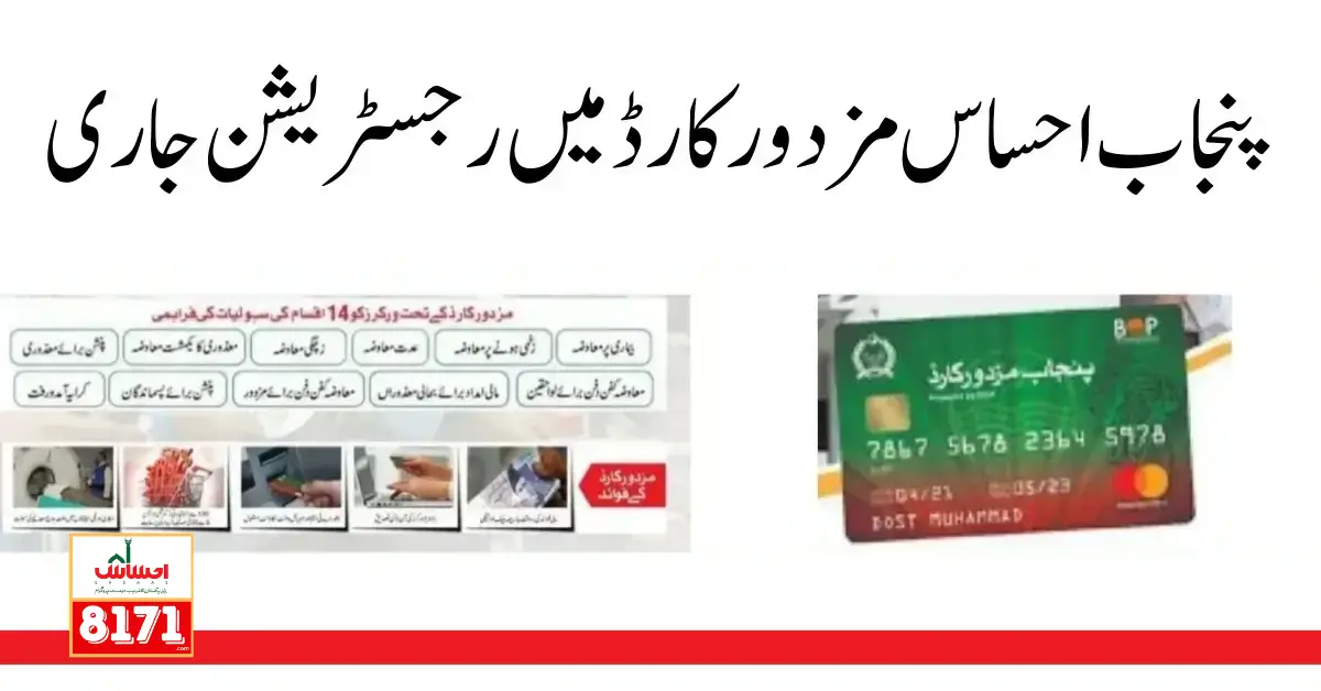 ```json
{
  "alt": "Reasons for ineligibility in the Ehsaas Kafalat Program 2024",
  "caption": "Understanding the reasons wh