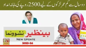 Benazir Nashonuma Program Registration Update 2025