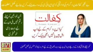 What To Do If Your 13500 Benazir Kafalat Payment Is Removed