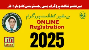 BISP 8171 Online Registration New Latest Update 2025