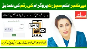 BISP 8171 September 2025 Payment Update How To Check Via Online And Offline