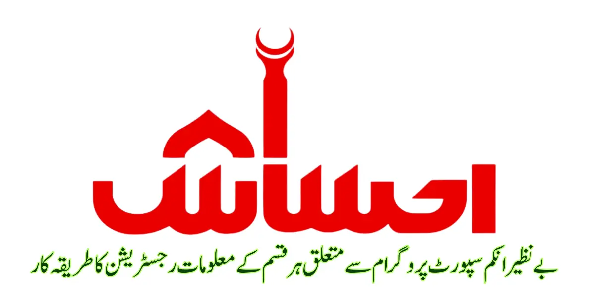 logo of 8171alert.com.pk