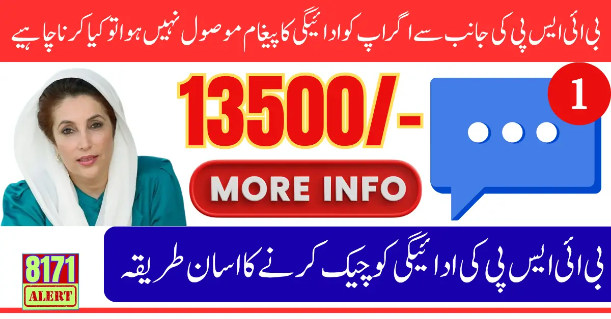 BISP 8171 Payment SMS Delayed Or Missing Step by Step Solution for 2025