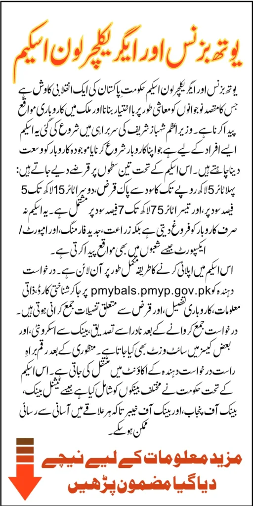 PM Youth Business And Agriculture Loan Scheme 7.5 Million Without Interest Know Application Process