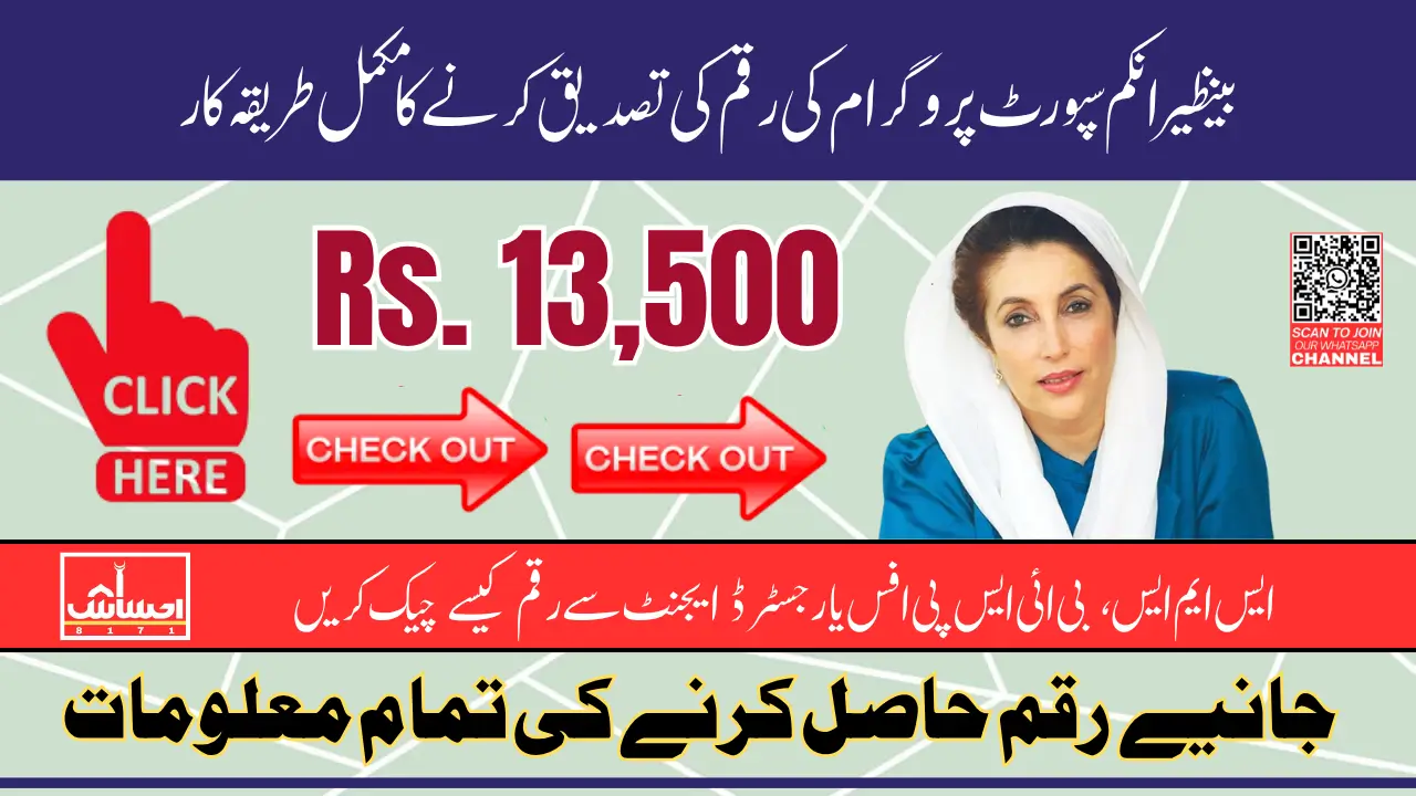 BISP Check Balance Online By CNIC Full Guide To Receive 13500 Payment In 2025