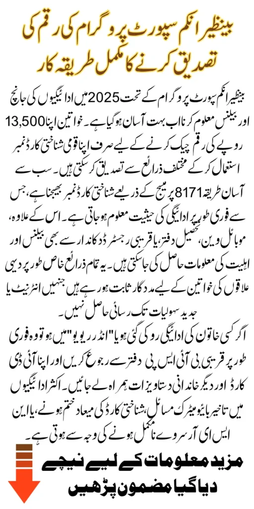 BISP Check Balance Online By CNIC Full Guide To Receive 13500 Payment In 2025