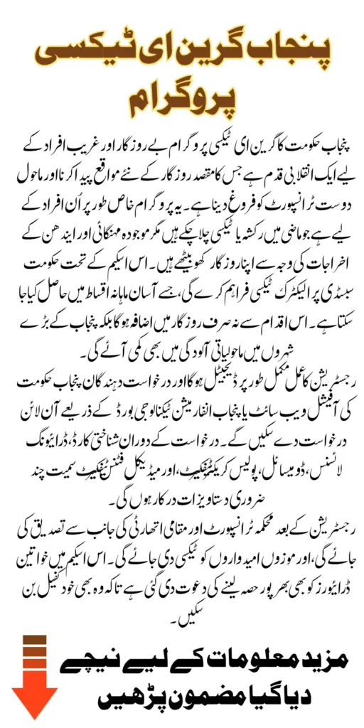 CM Punjab Green E-Taxi Program 2025 Step-By-Step Application Method And Status Detail