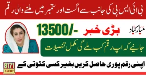 BISP 8171 September 2025 Payment Offline Tracking Method Announced For Illiterate Family