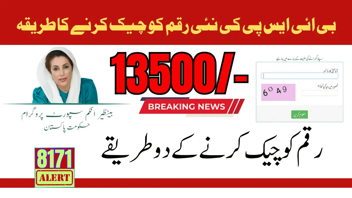 Benazir Income Support Program New Payment Check 2025