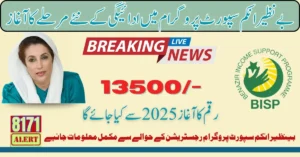 Benazir Income Support Programme Forum For 13500 Payment In 2025 Latest Update
