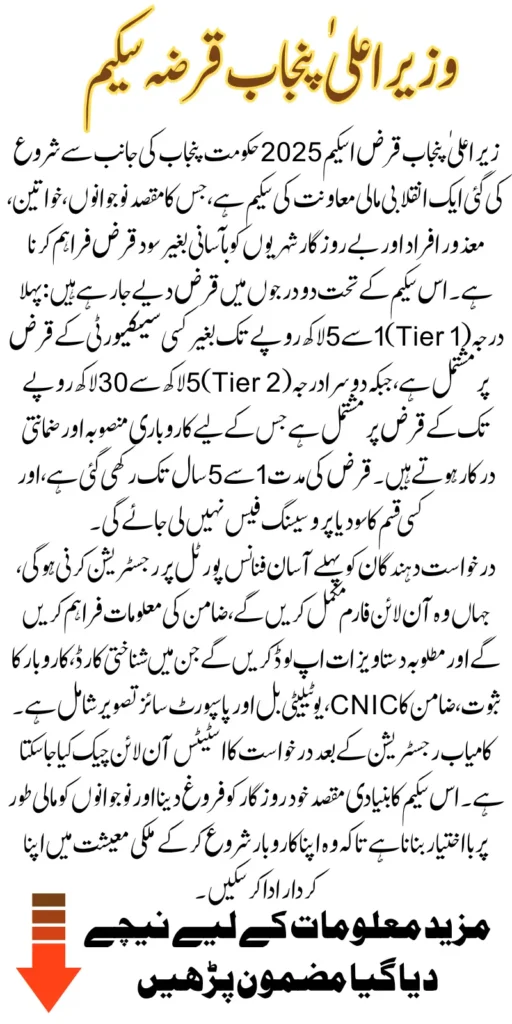 CM Punjab Loan Scheme Apply Online On Easy Monthly Installments Know Step-By-Step Method 2025