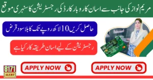 Asaan Karobar Loan Scheme 2025 Punjab Eligibility Application Process To Get 1 Million