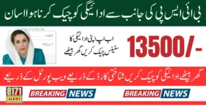 BISP 8171 Payment Check Discreet 2025 By Using CNIC Via Update Web Portal Full Guide