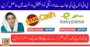 BISP Digital Wallet Payments September 2025 Online Status Check And Registration Via Tehsil Office
