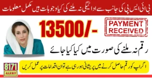 BISP September Payment Not Received Know Reason And Best Solution Full Guide 2025