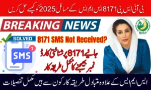 How To Fix BISP 8171 SMS Issues 2025 – CNIC Verification & No Reply Solution